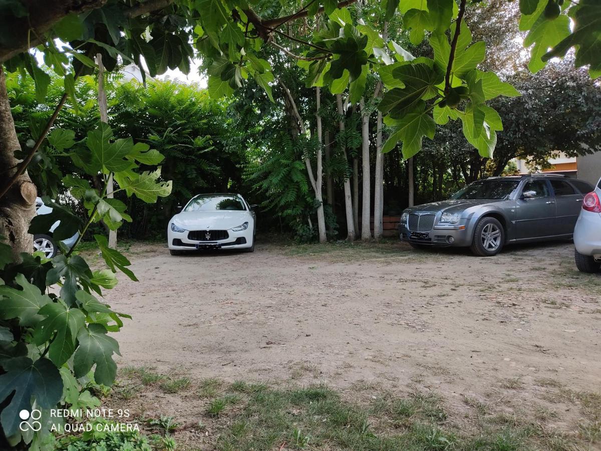 Apartment Albert Parking Prive Gratuit Limoux Exterior foto