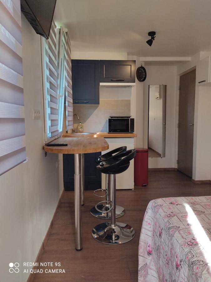 Apartment Albert Parking Prive Gratuit Limoux Exterior foto